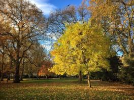 Beautiful Russell Square
